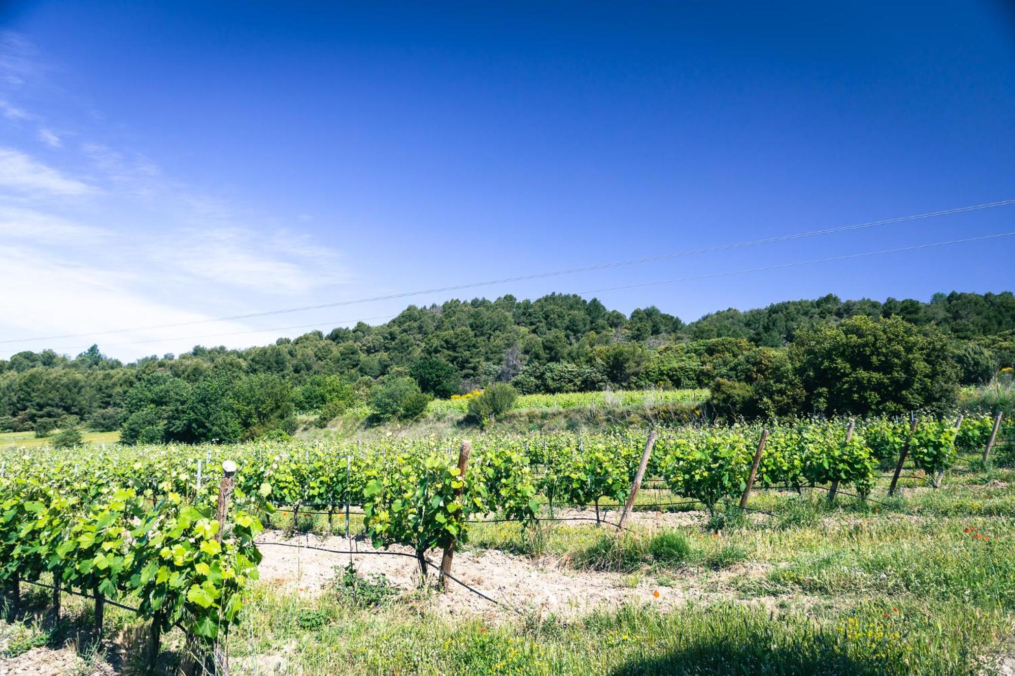 Domaine Des Peyre Apartment Robion en Luberon Bagian luar foto